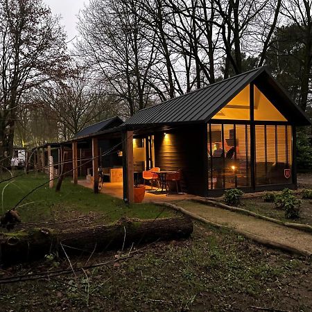 Cosy Tiny Lodges - Vakantiepark Kempenbos 迪森 外观 照片