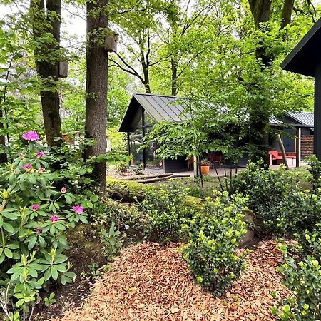 Cosy Tiny Lodges - Vakantiepark Kempenbos 迪森 外观 照片