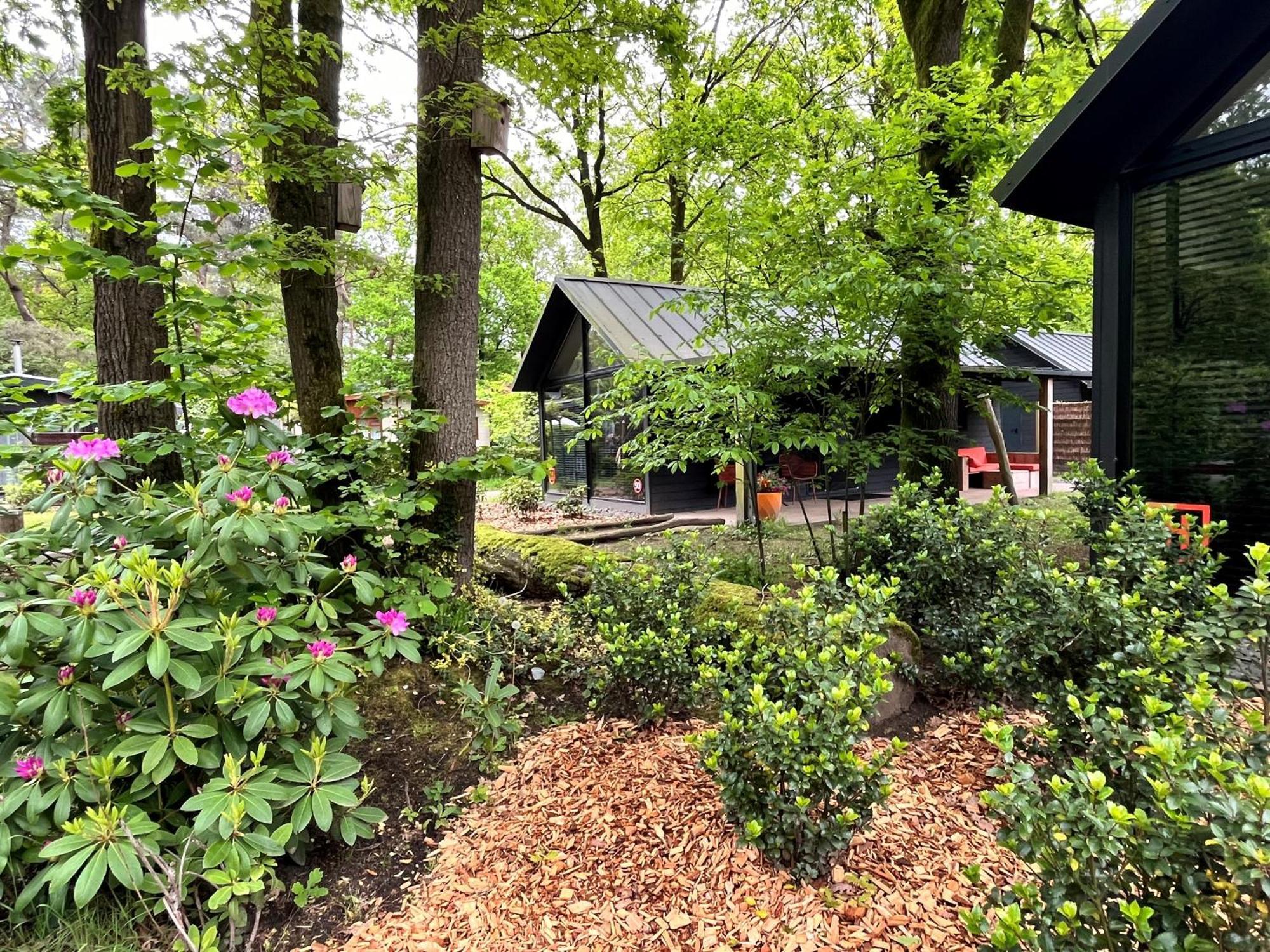 Cosy Tiny Lodges - Vakantiepark Kempenbos 迪森 外观 照片